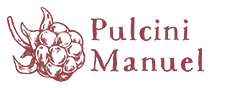 Pulcini Manuel